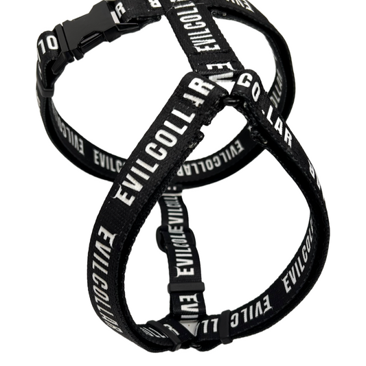 Pettorina ad H 2.5 EvilCollar