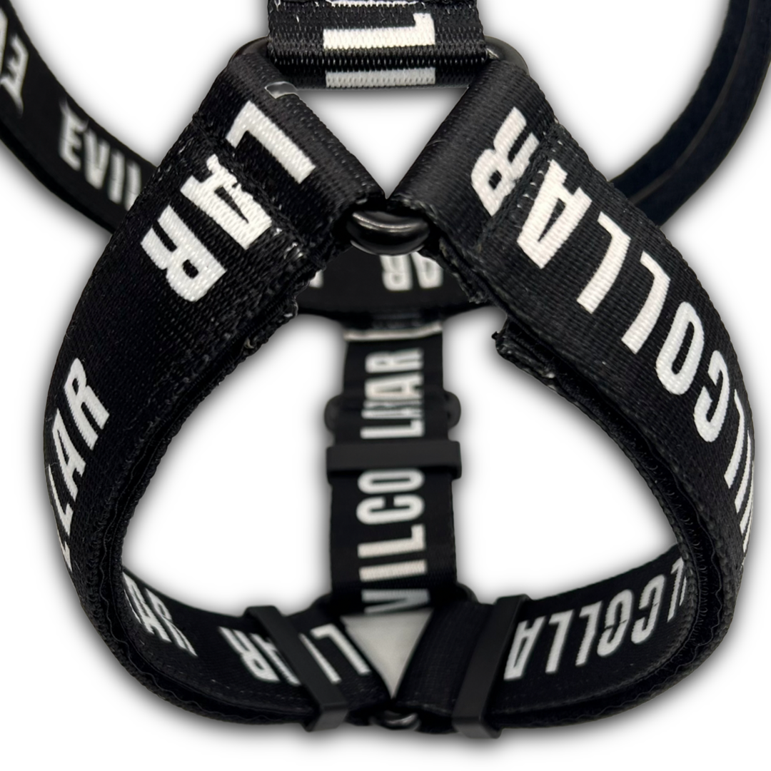 Pettorina ad H 4cm