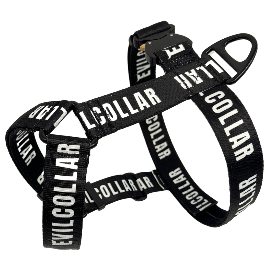 Pettorina Scratch 4.0 EvilCollar Athletic