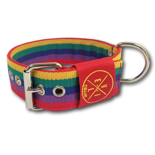 Collare Rainbow 4cm