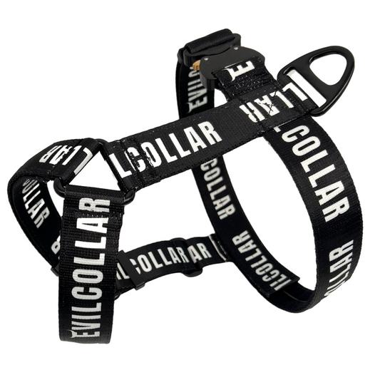 Pettorina Scratch 4.0 EvilCollar Athletic
