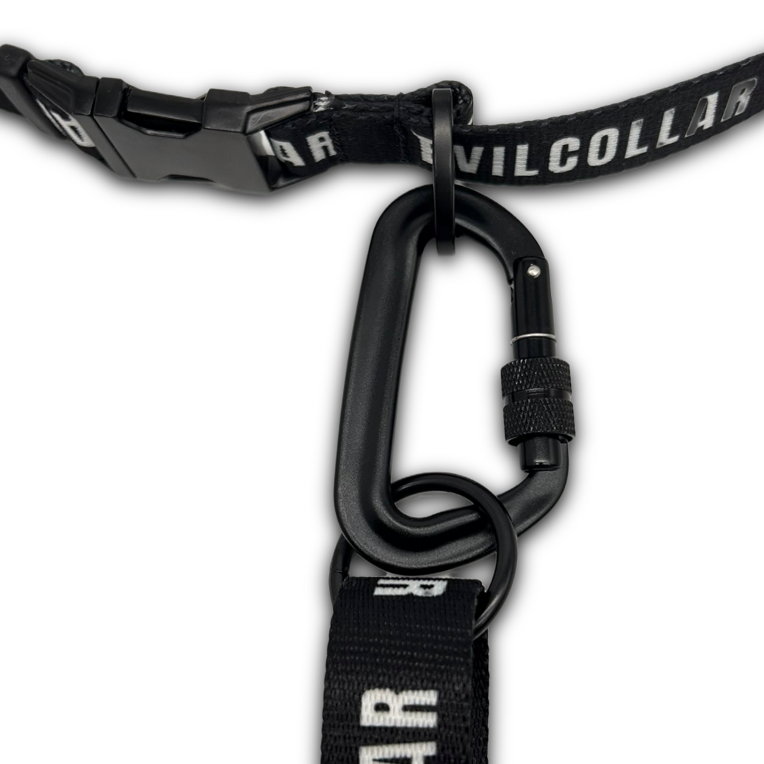 Moschettone per Cintura 2.5 EvilCollar