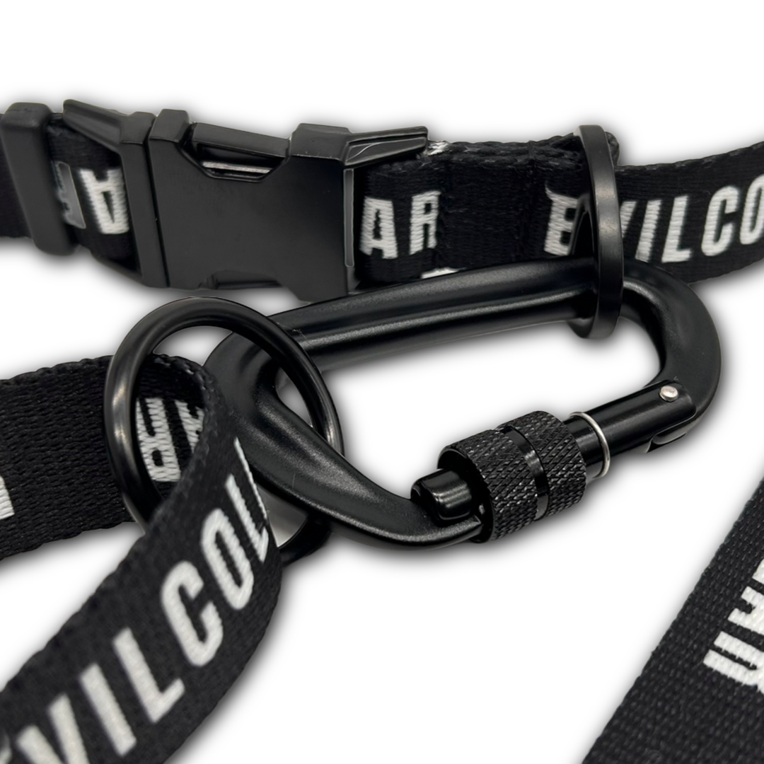 Cintura 2.5 EvilCollar