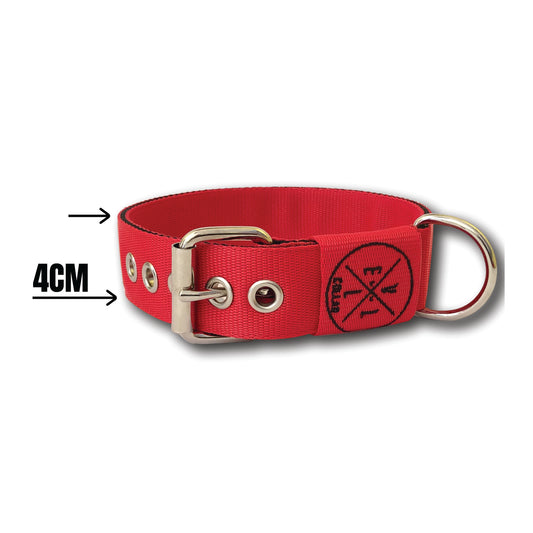 Collare Personalizzato 4cm di larghezza