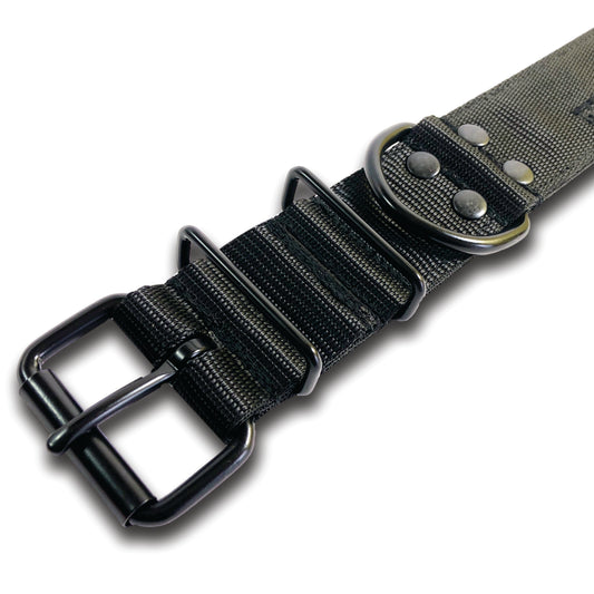 Collare Viper All Black 4cm