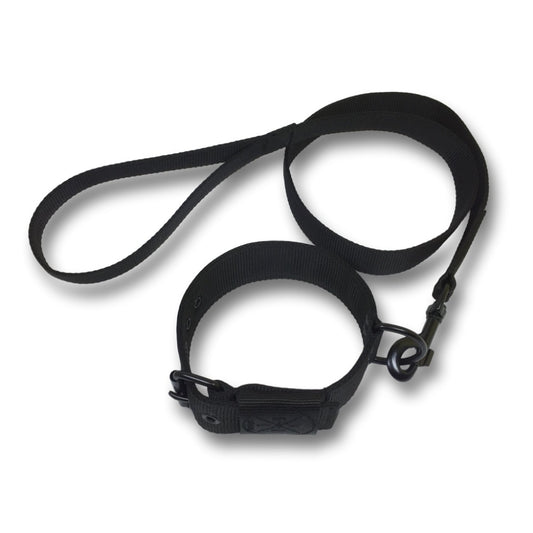 Set Collare e Guinzaglio EvilCollar