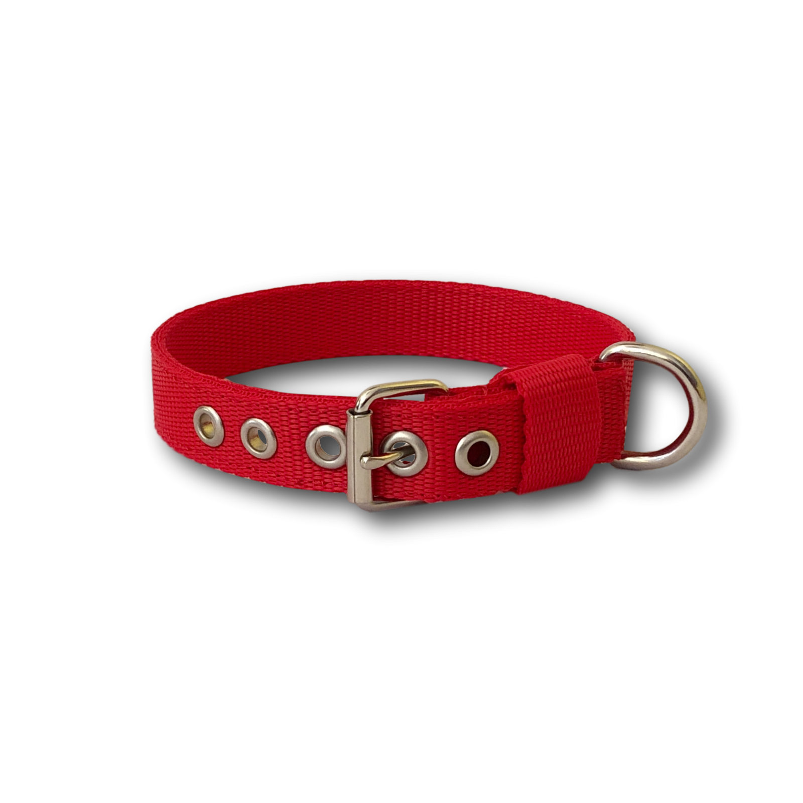Collare Classic 2cm