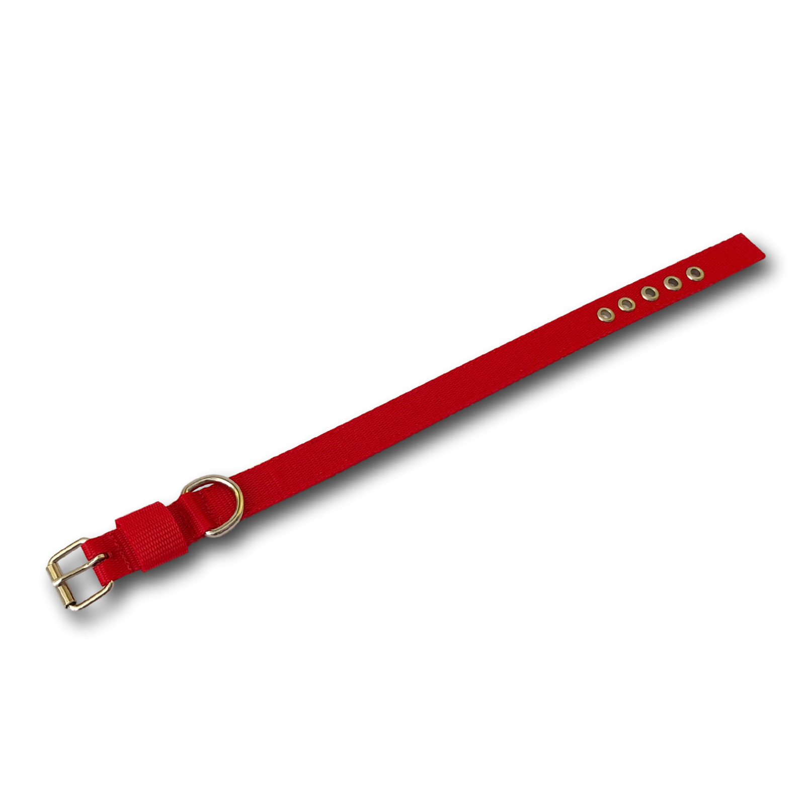 Collare Classic 2cm personalizzabile
