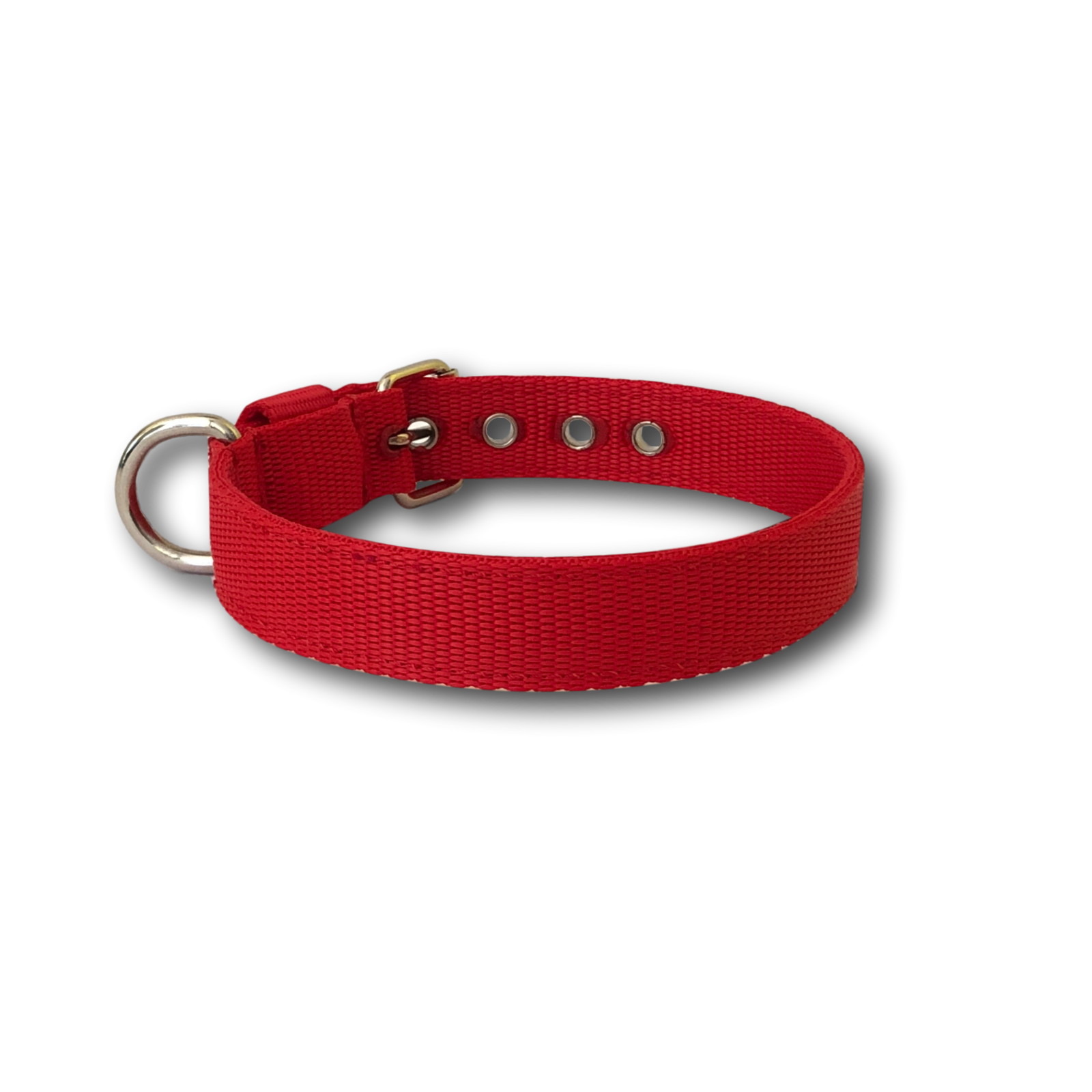 Collare Classic 2cm per Cani piccola taglia