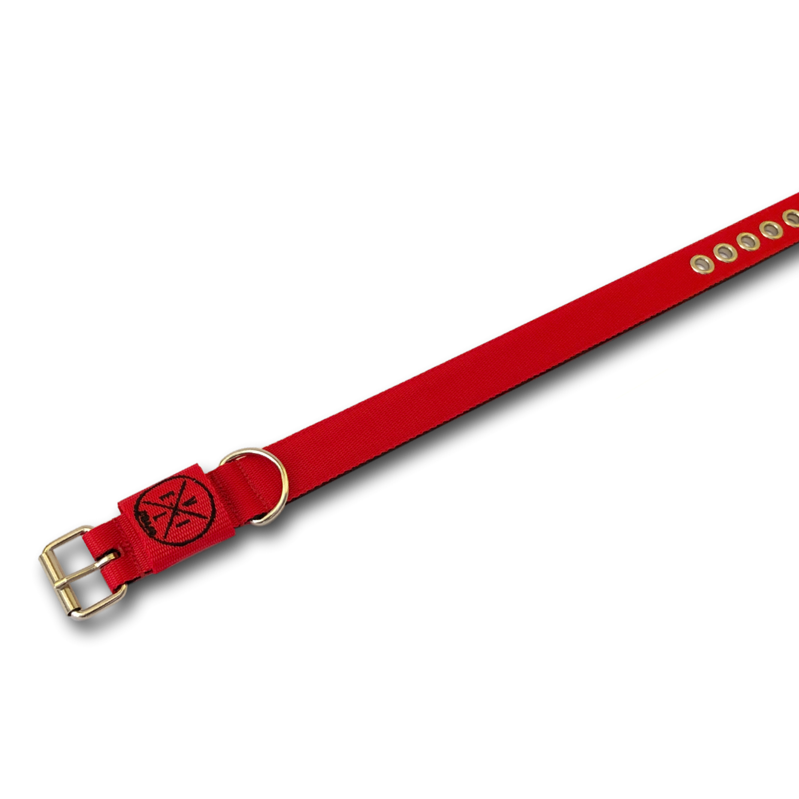Collare Classic 3cm personalizzabile