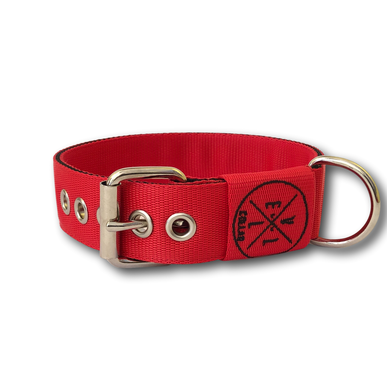 Collare Classic 4cm
