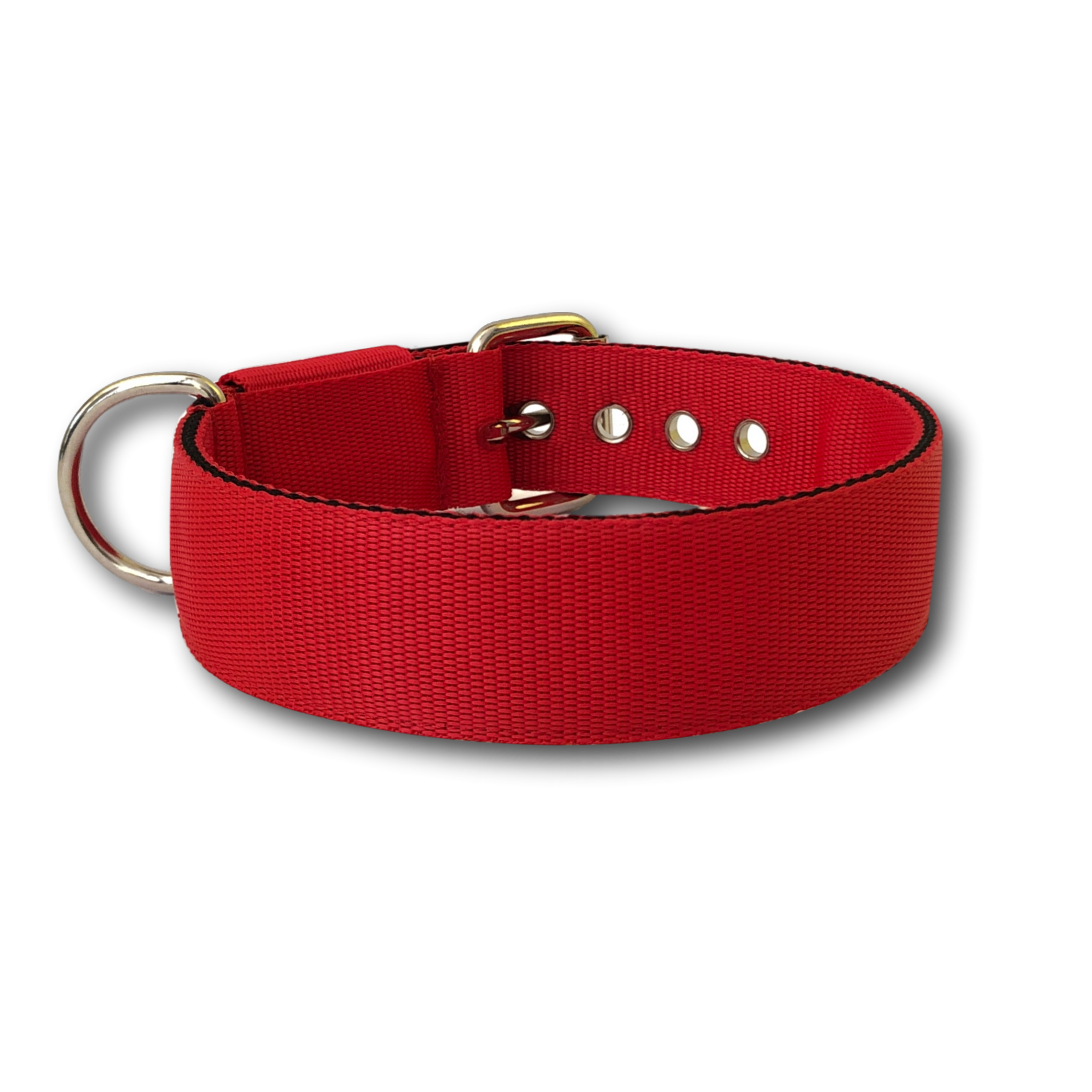 Collare Classic 4cm per Cani taglia medio - grande