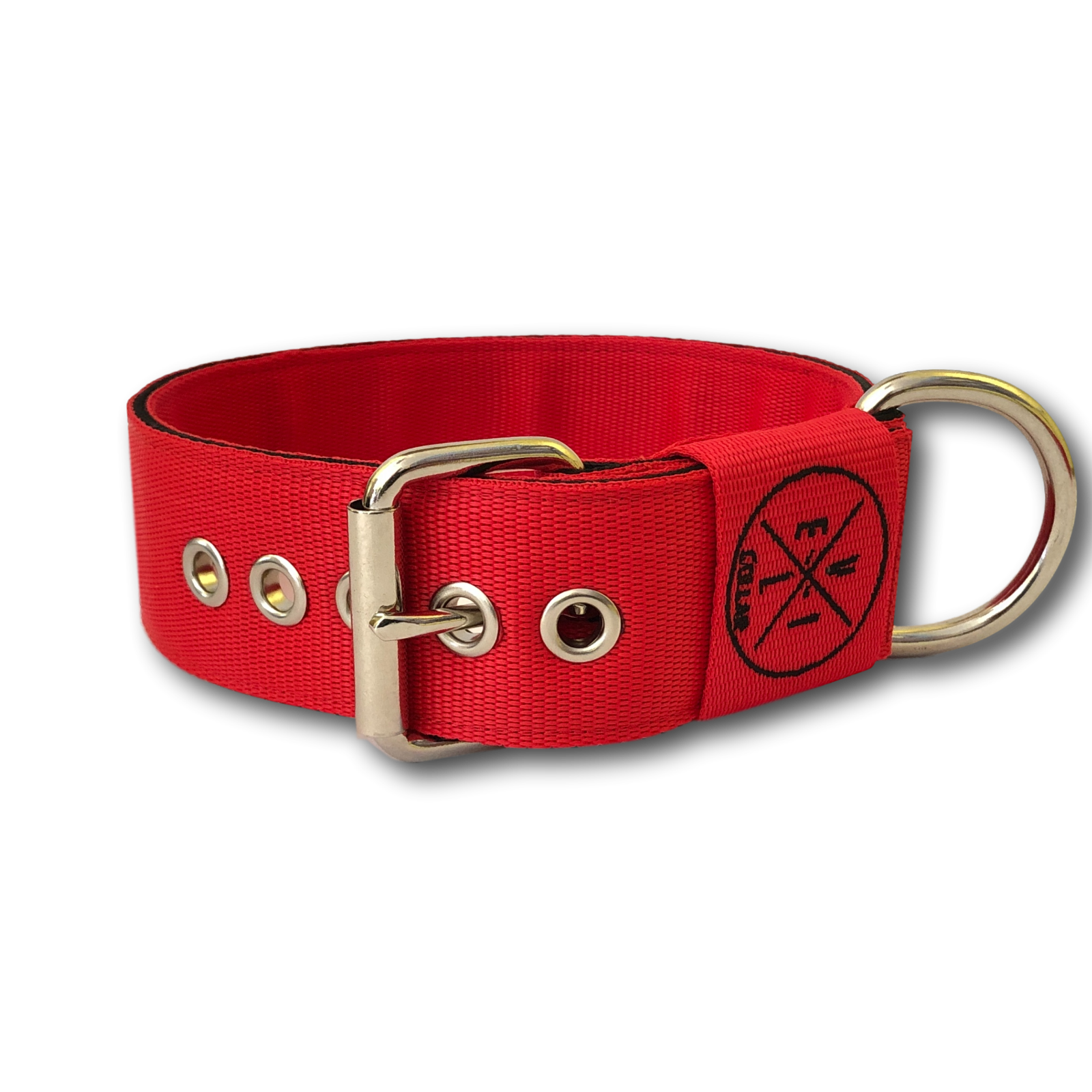 Collare Classic 5cm