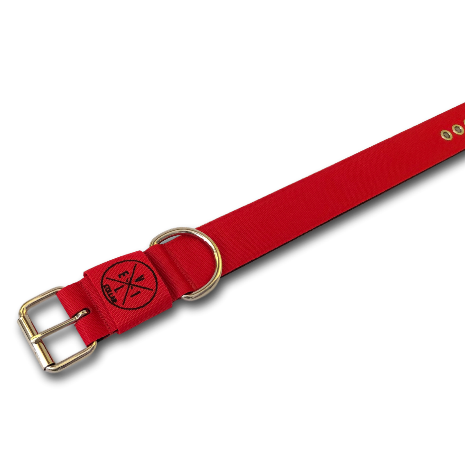Collare Classic 5cm personalizzabile