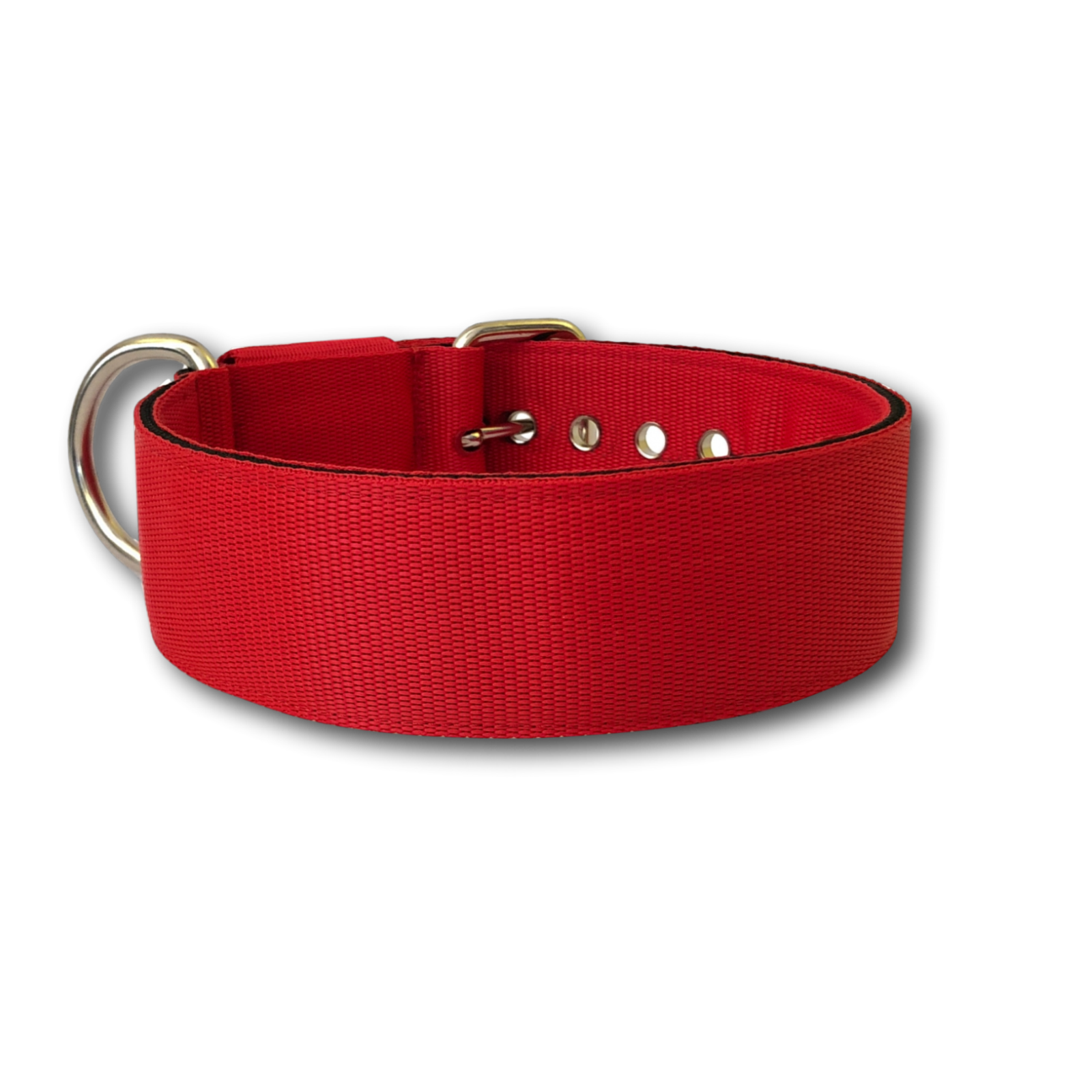 Collare Classic 5cm per Cani taglia grande