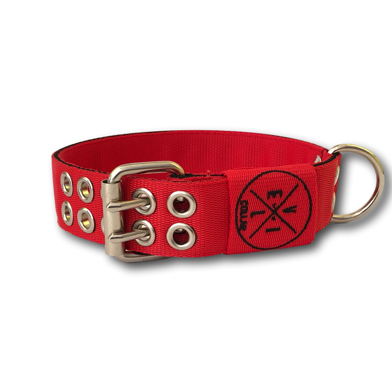 Collare Pit Bull 4cm