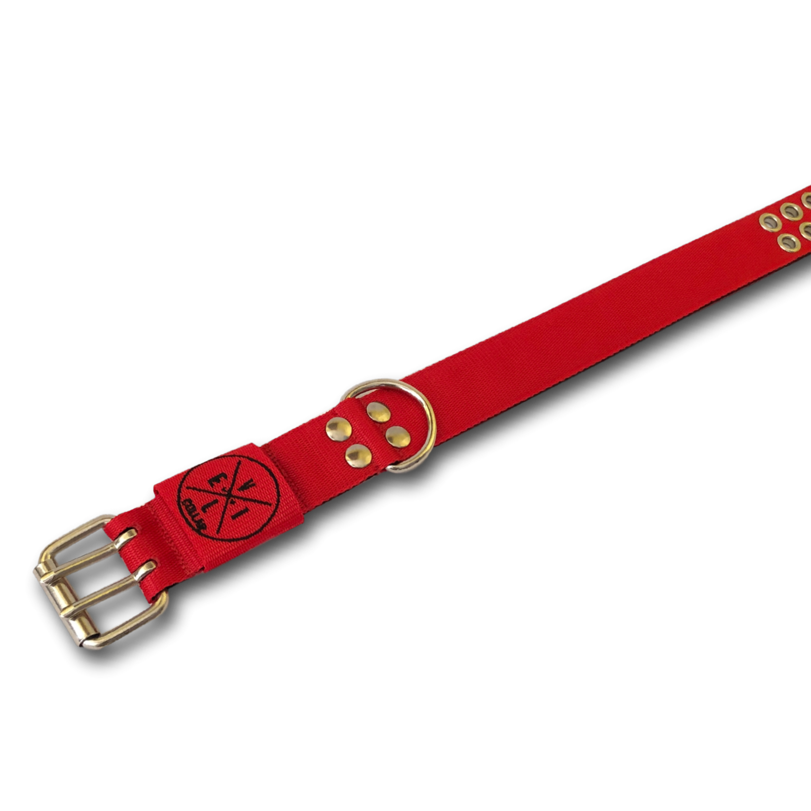 Collare Pit Bull 4cm personalizzabile