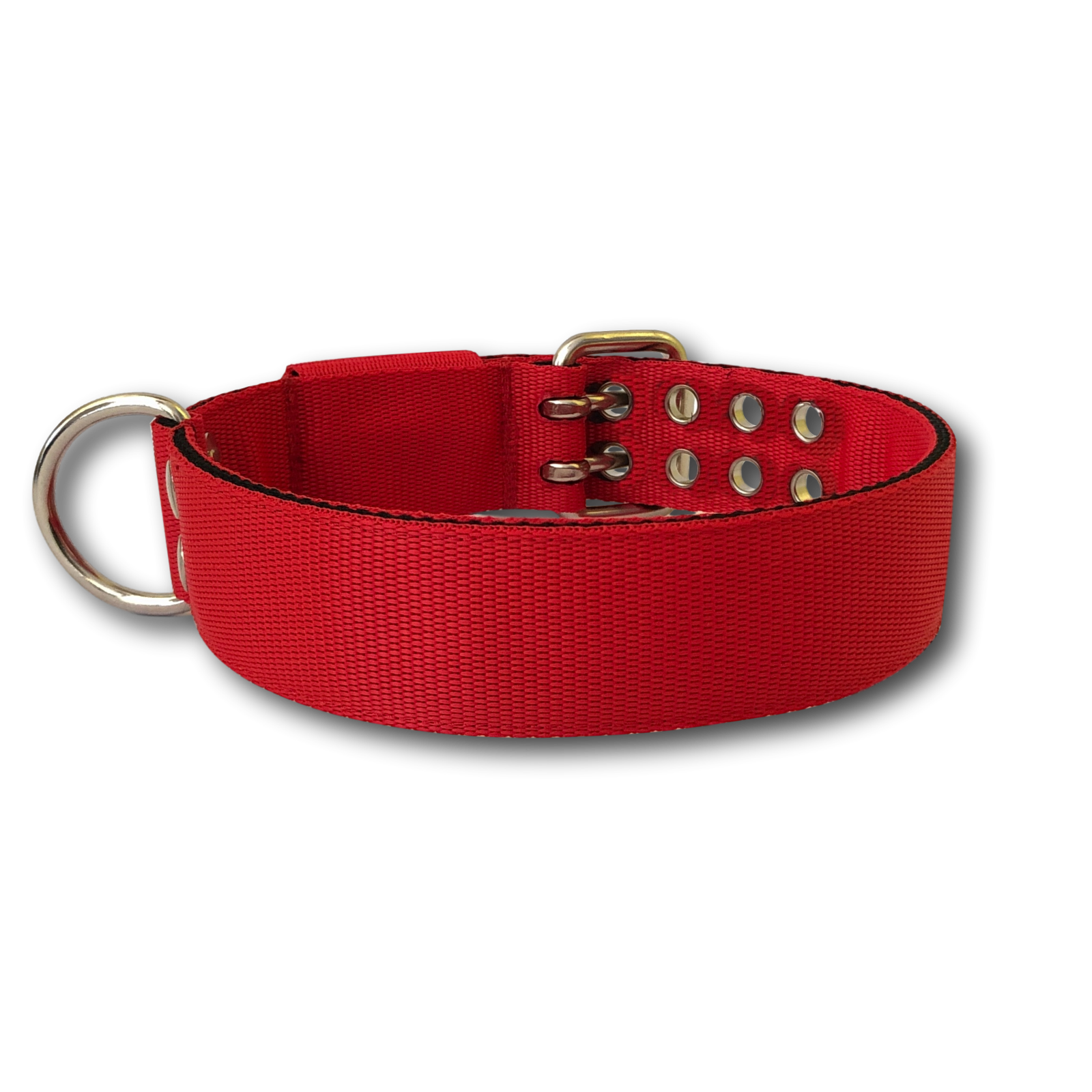 Collare Pit Bull 4cm Nylon