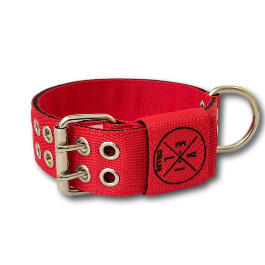 Collare Pit Bull 5cm