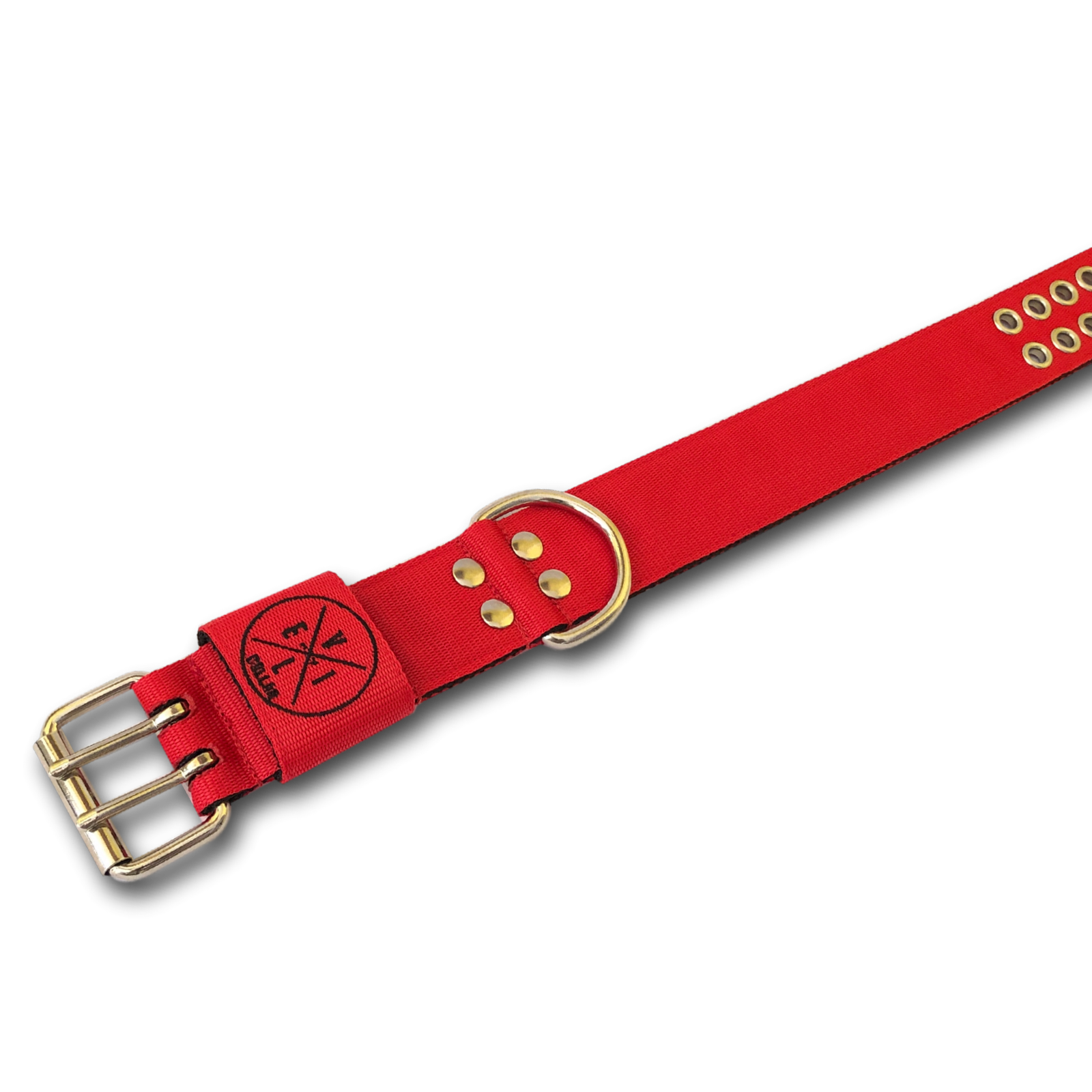 Collari Pit Bull 5cm
