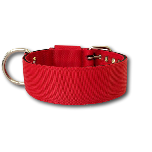 Collare Pitbull 5cm