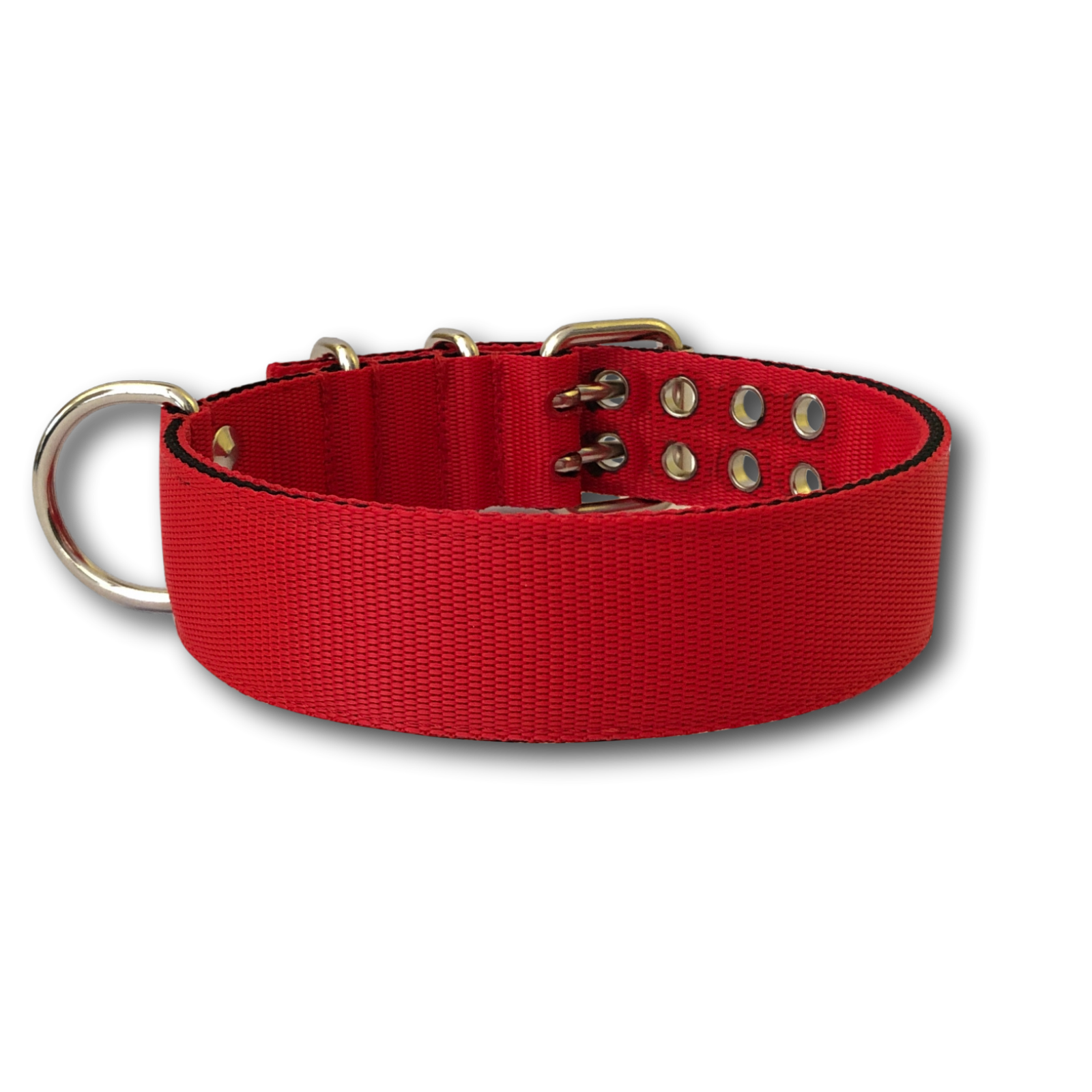 Collare Viper larghezza 4cm