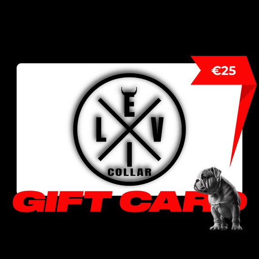 Carta Regalo EvilCollar €25
