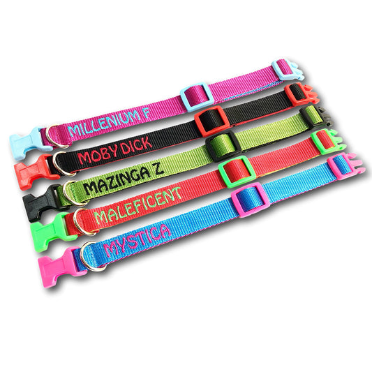 Collare Puppy 2cm Personalizzato